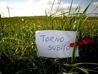 Torno Subito